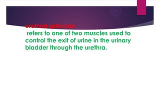 urethral sphincter
refers to one of two muscles used to
control the exit of urine in the urinary
bladder through the urethra.

 