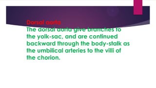 Dorsal aorta
The dorsal aorta give branches to
the yolk-sac, and are continued
backward through the body-stalk as
the umbilical arteries to the villi of
the chorion.

 