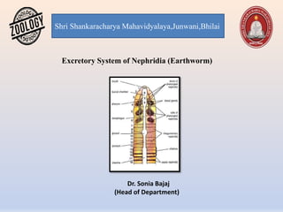 Shri Shankaracharya Mahavidyalaya,Junwani,Bhilai
Excretory System of Nephridia (Earthworm)
Dr. Sonia Bajaj
(Head of Department)
 