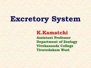 Excretory System
K.Kamatchi
Assistant Professor
Department of Zoology
Vivekananda College
Tiruvedakam West
 