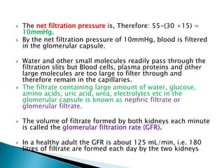  The net filtration pressure is, Therefore: 55-(30 +15) =
10mmHg.
 By the net filtration pressure of 10mmHg, blood is filtered
in the glomerular capsule.
 Water and other small molecules readily pass through the
filtration slits but Blood cells, plasma proteins and other
large molecules are too large to filter through and
therefore remain in the capillaries.
 The filtrate containing large amount of water, glucose,
amino acids, uric acid, urea, electrolytes etc in the
glomerular capsule is known as nephric filtrate or
glomerular filtrate.
 The volume of filtrate formed by both kidneys each minute
is called the glomerular filtration rate (GFR).
 In a healthy adult the GFR is about 125 mL/min, i.e. 180
litres of filtrate are formed each day by the two kidneys
 