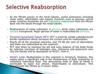  As the filtrate passes to the renal tubules, useful substances including
some water, electrolytes and organic nutrients such as glucose, amino
acids, vitamins hormones etc are selectively reabsorbed from the filtrate
back into the blood through the renal tubules.
 Reabsorption of some substance is passive, while some substances are
actively transported. Major portion of water is reabsorbed by Osmosis.
 Proximal Convoluted Tubule (PCT): PCT is lined by simple cuboidal brush
border epithelium which increases the surface area for reabsorption.
 Nearly all of the essential nutrients, and 70-80 per cent of electrolytes
and water are reabsorbed by this segment.
 PCT also helps to maintain the pH and ionic balance of the body fluids
by selective secretion of hydrogen ions. Ammonia and potassium ions
into the filtrate and by absorption of HCO3- from it.
 Henle's Loop: Reabsorption in this segment is minimum, However, this
region plays a significant role in the maintenance of high osmolarity of
medullary interstitial fluid. The descending limb of loop of Henle is
permeable to water but almost. impermeable to electrolytes. This
concentrates the filtrate as it moves' down.
 