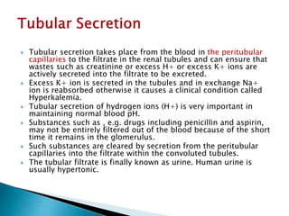  Tubular secretion takes place from the blood in the peritubular
capillaries to the filtrate in the renal tubules and can ensure that
wastes such as creatinine or excess H+ or excess K+ ions are
actively secreted into the filtrate to be excreted.
 Excess K+ ion is secreted in the tubules and in exchange Na+
ion is reabsorbed otherwise it causes a clinical condition called
Hyperkalemia.
 Tubular secretion of hydrogen ions (H+) is very important in
maintaining normal blood pH.
 Substances such as , e.g. drugs including penicillin and aspirin,
may not be entirely filtered out of the blood because of the short
time it remains in the glomerulus.
 Such substances are cleared by secretion from the peritubular
capillaries into the filtrate within the convoluted tubules.
 The tubular filtrate is finally known as urine. Human urine is
usually hypertonic.
 