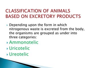  Depending upon the form in which
nitrogenous waste is excreted from the body,
the organisms are grouped as under into
three categories:
 Ammonotelic
 Uricotelic
 Ureotelic
 