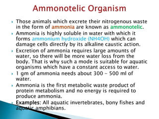  Those animals which excrete their nitrogenous waste
in the form of ammonia are known as ammonotelic.
 Ammonia is highly soluble in water with which it
forms ammonium hydroxide (NH4OH) which can
damage cells directly by its alkaline caustic action.
 Excretion of ammonia requires large amounts of
water, so there will be more water loss from the
body. That is why such a mode is suitable for aquatic
organisms which have a constant access to water.
 1 gm of ammonia needs about 300 - 500 ml of
water.
 Ammonia is the first metabolic waste product of
protein metabolism and no energy is required to
produce ammonia.
 Examples: All aquatic invertebrates, bony fishes and
aquatic amphibians.
 