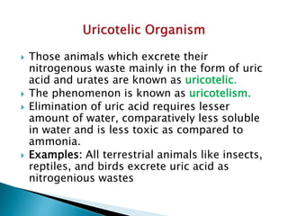  Those animals which excrete their
nitrogenous waste mainly in the form of uric
acid and urates are known as uricotelic.
 The phenomenon is known as uricotelism.
 Elimination of uric acid requires lesser
amount of water, comparatively less soluble
in water and is less toxic as compared to
ammonia.
 Examples: All terrestrial animals like insects,
reptiles, and birds excrete uric acid as
nitrogenious wastes
 
