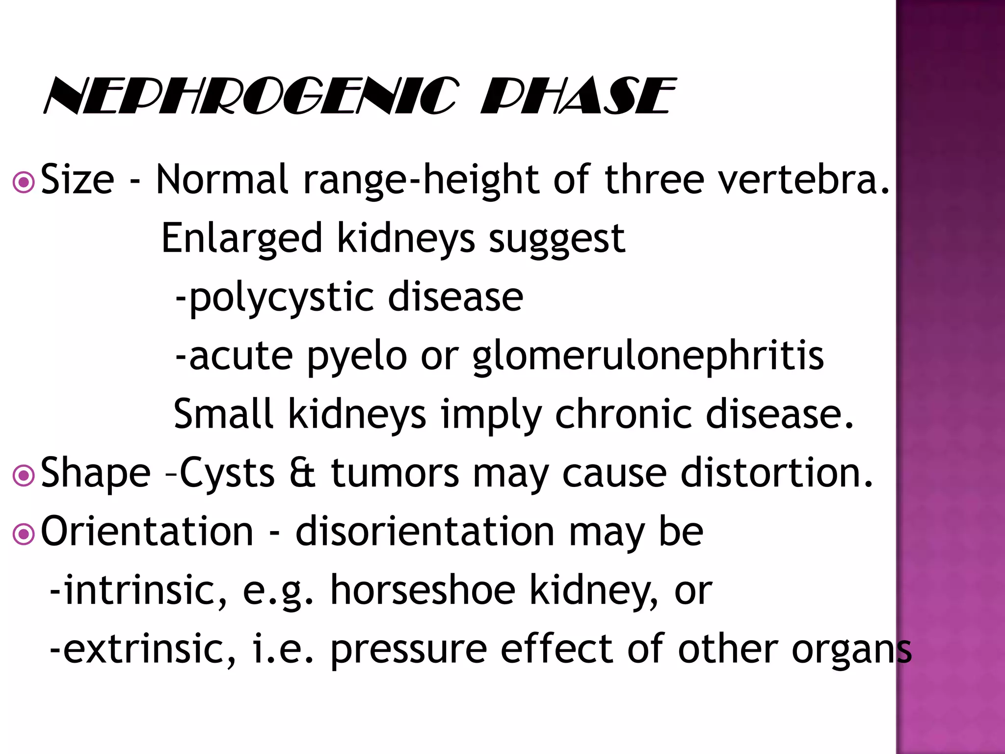 Size - Normal range-height of three vertebra.
Enlarged kidneys suggest
-polycystic disease
-acute pyelo or glomerulonephritis
Small kidneys imply chronic disease.
Shape –Cysts & tumors may cause distortion.
Orientation - disorientation may be
-intrinsic, e.g. horseshoe kidney, or
-extrinsic, i.e. pressure effect of other organs
 