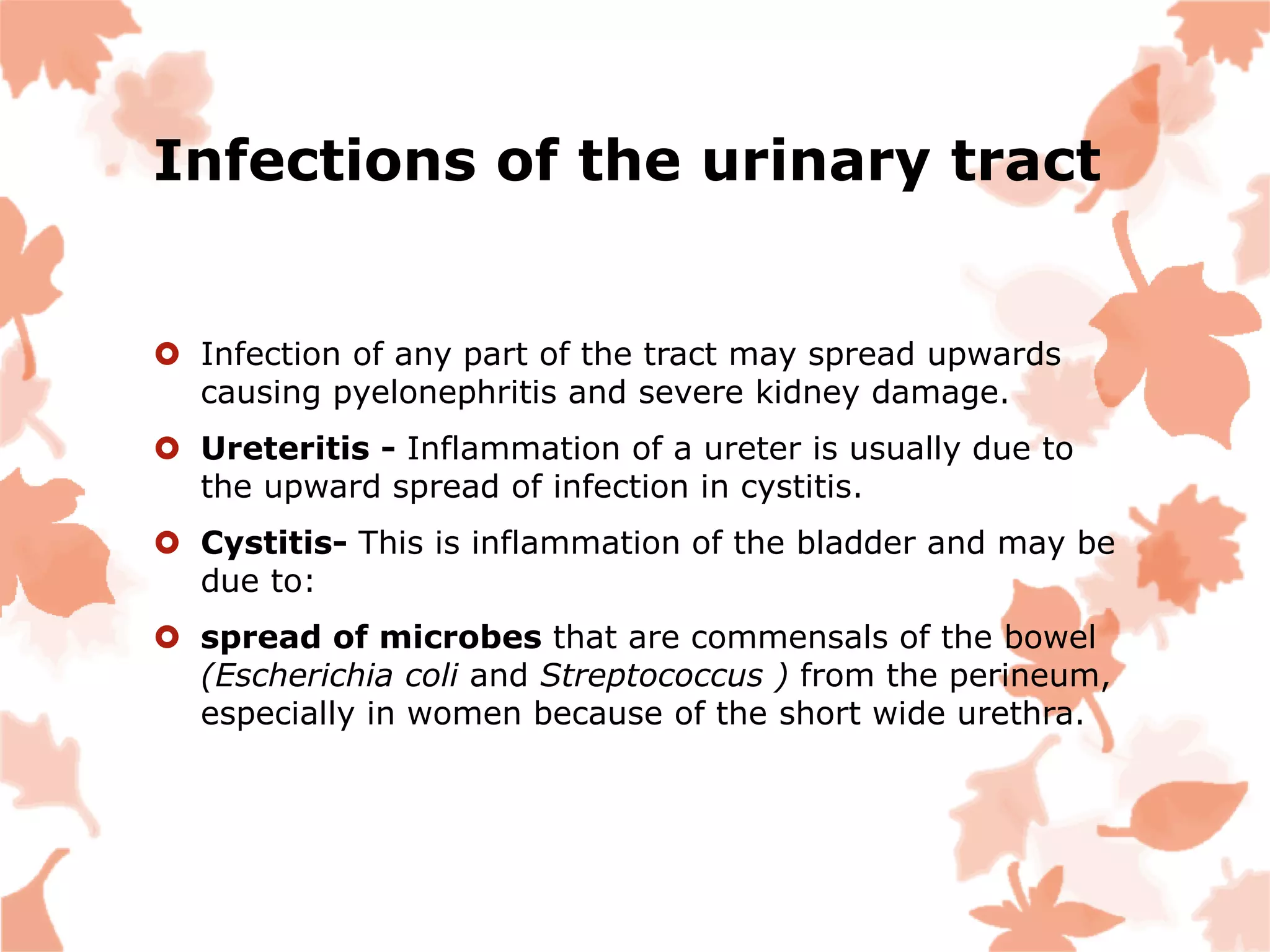 Infections of the urinary tract
 Infection of any part of the tract may spread upwards
causing pyelonephritis and severe kidney damage.
 Ureteritis - Inflammation of a ureter is usually due to
the upward spread of infection in cystitis.
 Cystitis- This is inflammation of the bladder and may be
due to:
 spread of microbes that are commensals of the bowel
(Escherichia coli and Streptococcus ) from the perineum,
especially in women because of the short wide urethra.
 