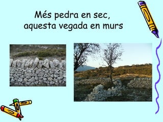 Més pedra en sec,  aquesta vegada en murs 