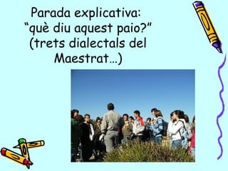 Parada explicativa:  “què diu aquest paio?” (trets dialectals del Maestrat…) 