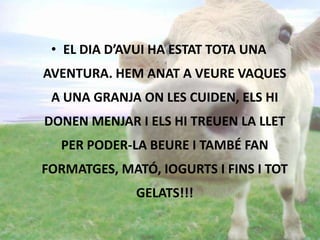 • EL DIA D’AVUI HA ESTAT TOTA UNA
AVENTURA. HEM ANAT A VEURE VAQUES
A UNA GRANJA ON LES CUIDEN, ELS HI
DONEN MENJAR I ELS HI TREUEN LA LLET
PER PODER-LA BEURE I TAMBÉ FAN
FORMATGES, MATÓ, IOGURTS I FINS I TOT
GELATS!!!