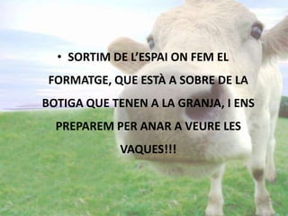 • SORTIM DE L’ESPAI ON FEM EL
FORMATGE, QUE ESTÀ A SOBRE DE LA
BOTIGA QUE TENEN A LA GRANJA, I ENS
PREPAREM PER ANAR A VEURE LES
VAQUES!!!