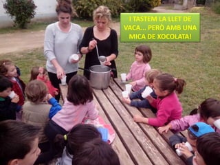 I TASTEM LA LLET DE
VACA... PERÒ AMB UNA
MICA DE XOCOLATA!