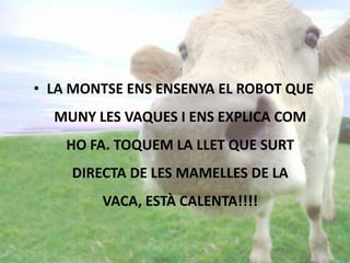 • LA MONTSE ENS ENSENYA EL ROBOT QUE
MUNY LES VAQUES I ENS EXPLICA COM
HO FA. TOQUEM LA LLET QUE SURT
DIRECTA DE LES MAMELLES DE LA
VACA, ESTÀ CALENTA!!!!