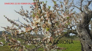 EXCURSIÓ A CORONA
DIMECRES 22 DE FEBRER DE 2017
 