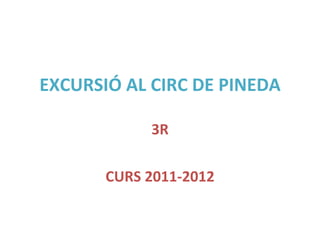 EXCURSIÓ AL CIRC DE PINEDA 3R CURS 2011-2012 