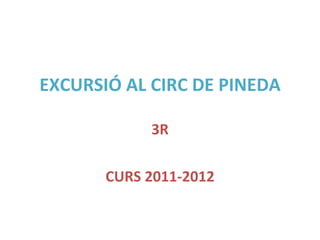 EXCURSIÓ AL CIRC DE PINEDA 3R CURS 2011-2012 