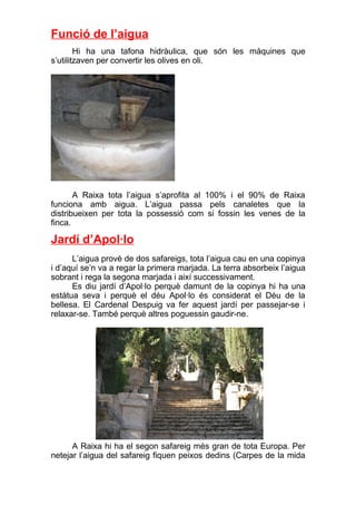 Funció de l’aigua
        Hi ha una tafona hidràulica, que són les màquines que
s’utilitzaven per convertir les olives en oli.




       A Raixa tota l’aigua s’aprofita al 100% i el 90% de Raixa
funciona amb aigua. L’aigua passa pels canaletes que la
distribueixen per tota la possessió com si fossin les venes de la
finca.

Jardí d’Apol·lo
      L’aigua prové de dos safareigs, tota l’aigua cau en una copinya
i d’aquí se’n va a regar la primera marjada. La terra absorbeix l’aigua
sobrant i rega la segona marjada i així successivament.
      Es diu jardí d’Apol·lo perquè damunt de la copinya hi ha una
estàtua seva i perquè el déu Apol·lo és considerat el Déu de la
bellesa. El Cardenal Despuig va fer aquest jardí per passejar-se i
relaxar-se. També perquè altres poguessin gaudir-ne.




      A Raixa hi ha el segon safareig més gran de tota Europa. Per
netejar l’aigua del safareig fiquen peixos dedins (Carpes de la mida
 