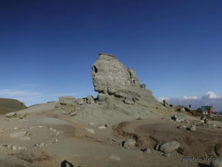 photo - stelaphoto - stela
 