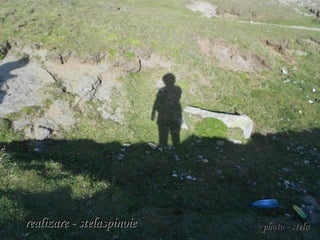 realizare - stelaspinoierealizare - stelaspinoie
 