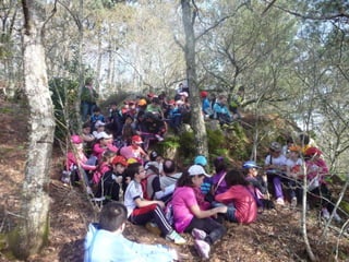 Excursión 2º Ciclo