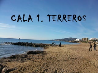 CALA 1. TERREROS