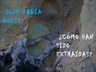 ¿QUÉ HABÍA
AQUÍ?
¿CÓMO HAN
SIDO
EXTRAIDAS?