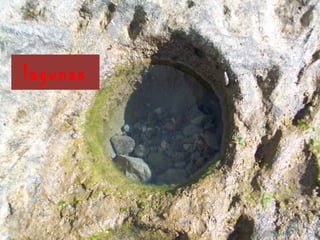 lagunas