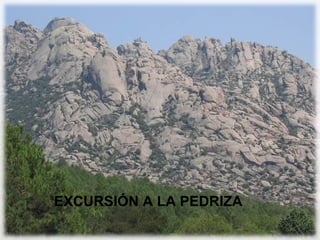 EXCURSIÓN A LA PEDRIZA



  Parque Regional de la Cuenca Alta del Manzanares




  EXCURSIÓN A LA PEDRIZA
 