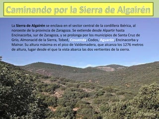 La Sierra de Algairén se enclava en el sector central de la cordillera Ibérica, al
noroeste de la provincia de Zaragoza. Se extiende desde Alpartir hasta
Encinacorba, sur de Zaragoza, y se prolonga por los municipios de Santa Cruz de
Grío, Almonacid de la Sierra, Tobed, Cosuenda, Codos, Aguarón, Encinacorba y
Mainar. Su altura máxima es el pico de Valdemadera, que alcanza los 1276 metros
de altura, lugar desde el que la vista abarca las dos vertientes de la sierra.
 