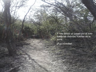 Y nos dimos un paseo por el soto
hasta las distintas huertas de la
zona.
¡Fue increíble!
 