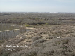 Nos hizo un día magnífico.
¡Qué guai!
 