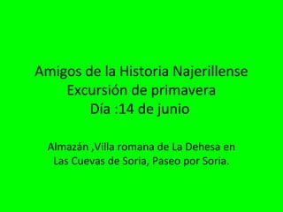 Amigos de la Historia Najerillense
Excursión de primavera
Día :14 de junio
Almazán ,Villa romana de La Dehesa en
Las Cuevas de Soria, Paseo por Soria.
 