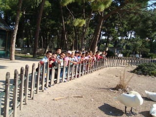 Excursión al parque grande