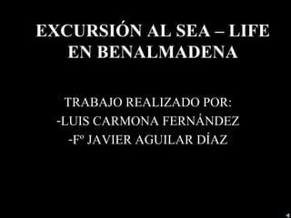 EXCURSIÓN AL SEA – LIFE
   EN BENALMADENA

   TRABAJO REALIZADO POR:
  -LUIS CARMONA FERNÁNDEZ
    -Fº JAVIER AGUILAR DÍAZ
 