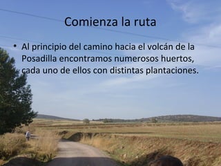 Comienza la ruta
• Al principio del camino hacia el volcán de la
  Posadilla encontramos numerosos huertos,
  cada uno de ellos con distintas plantaciones.
 