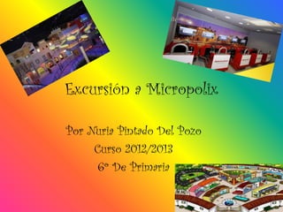 Excursión a Micropolix

Por Nuria Pintado Del Pozo
     Curso 2012/2013
      6º De Primaria
 