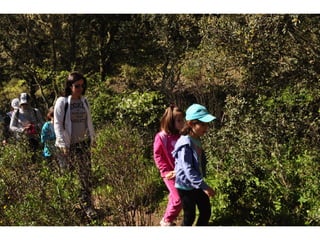Excursión cabañeros1