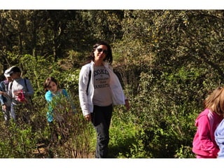 Excursión cabañeros1