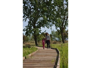 Excursión cabañeros1