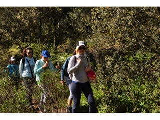 Excursión cabañeros1