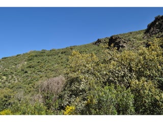 Excursión cabañeros1