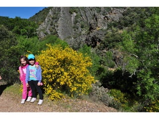 Excursión cabañeros1