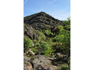 Excursión cabañeros1