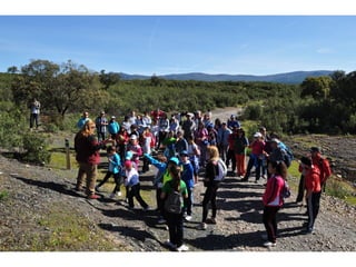 Excursión cabañeros1