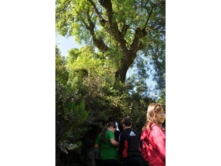 Excursión cabañeros1