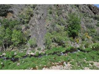 Excursión cabañeros1