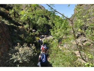 Excursión cabañeros1