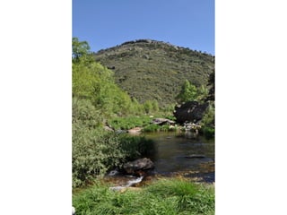 Excursión cabañeros1