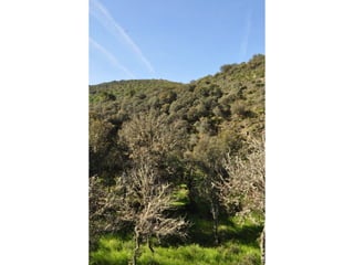 Excursión cabañeros1